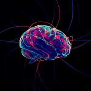 Flexible Thinking Gym Workout for 1 year for Adults