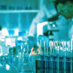 Research and Knowledge Worker Assessment